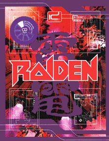 Raiden (Korea) Game Cover